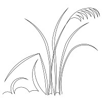 tall grass border 001